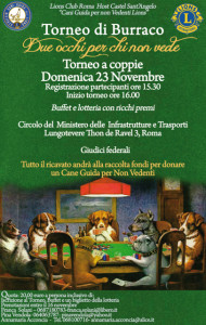 torneo burraco occhi per chi non vede